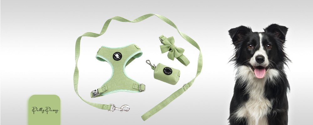 ODM/OEM Pet Harness 