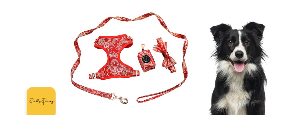 Red Harness Set