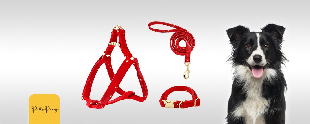 Red Velvet Pet Harness