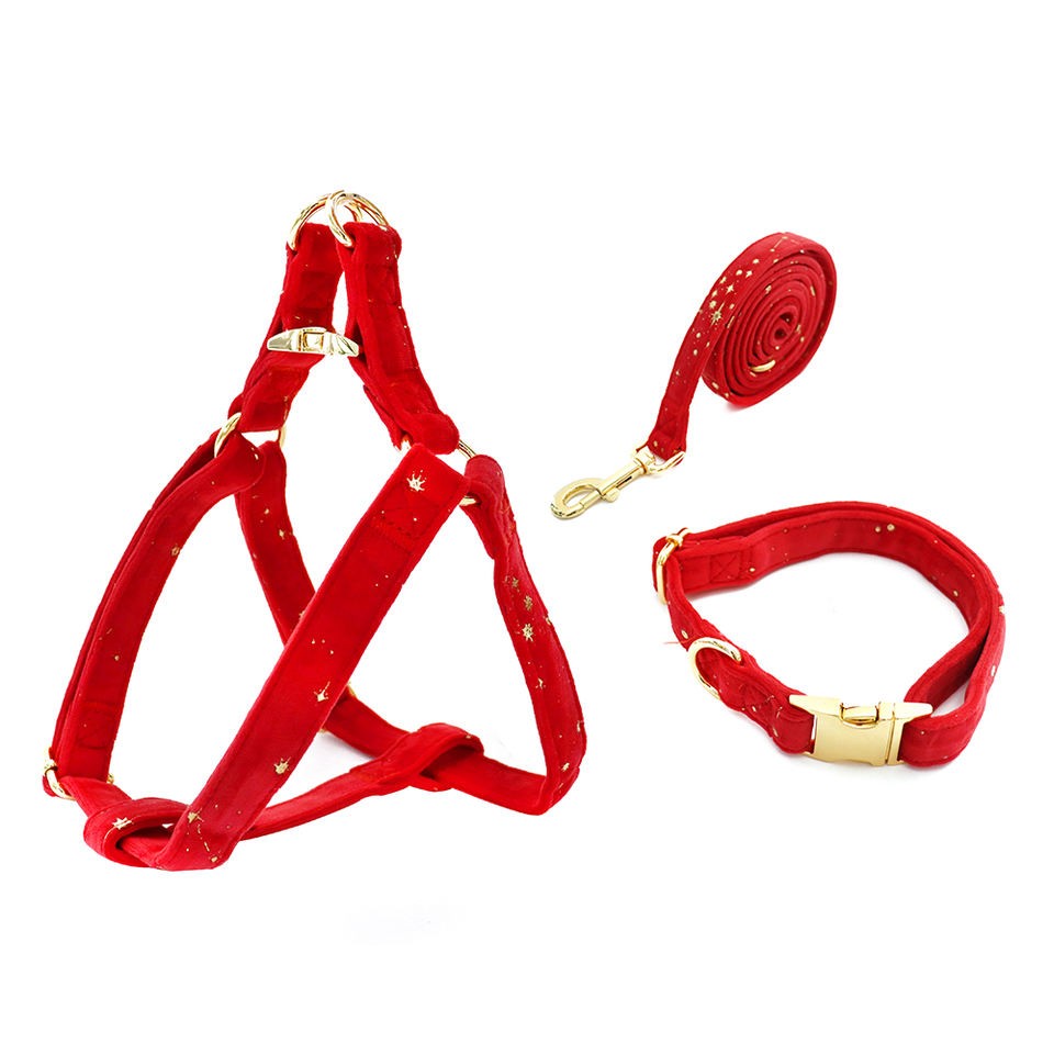 Red pet vest harness set