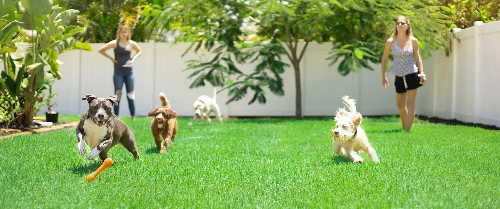 Fabricant de produits pour animaux de compagnie OEM