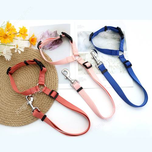 tough dog leash collar